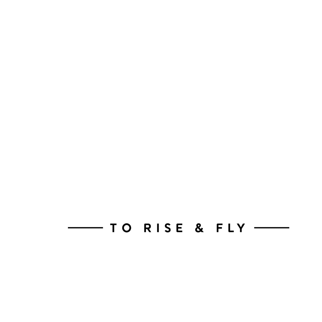 Rising Aviation footer logo img